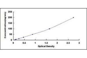Typical standard curve (Lactate Dehydrogenase C ELISA Kit)