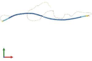 AlphaFold protein structure predicition of Human Recombinant CCDC166 Protein, UniprotID P0CW27 (CCDC166 Protein (AA 1-439) (His tag))