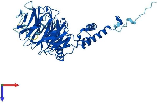 DCAF13 Protein (AA 1-445) (His tag)