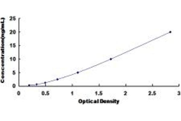 Septin 3 ELISA Kit