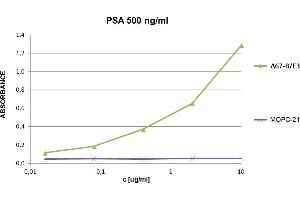 ELISA detection of PSA with anti-human PSA (A67-B/E3) biotin. (Prostate Specific Antigen antibody  (Biotin))