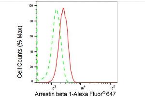 Flow cytometric analysis of Arrestin beta 1 expression in HepG2 cells using Arrestin beta 1 antibody (ABIN7797653), 1:2,000). (Recombinant beta Arrestin 1 antibody)