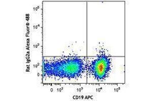 Flow Cytometry (FACS) image for Rat anti-Mouse IgM antibody (Alexa Fluor 488) (ABIN2667223) (Rat anti-Mouse IgM Antibody (Alexa Fluor 488))