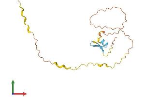 AlphaFold protein structure predicition of Human Recombinant POLR2M Protein, UniprotID Q6EEV4