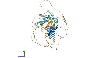 Protein Structure (PS) image for WW and C2 Domain Containing 1 (WWC1) (AA 1-1113) protein (His tag) (ABIN7554363)