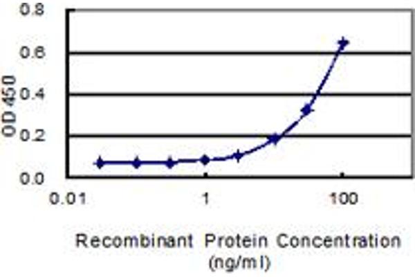 ZNF160 antibody  (AA 1-147)