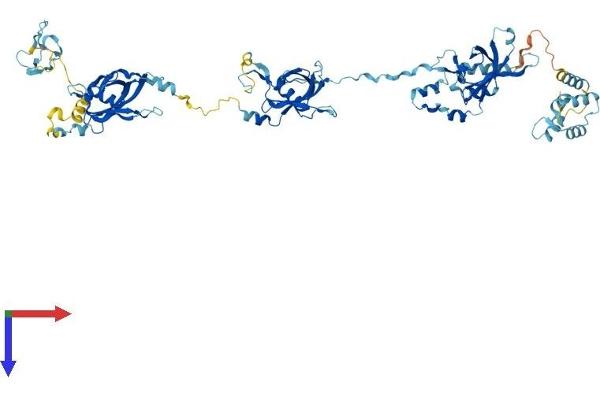 EFHC1 Protein (AA 1-640) (His tag)