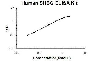 Human SHBG PicoKine ELISA Kit standard curve (SHBG ELISA Kit)