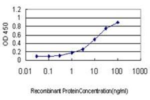 Detection limit for recombinant GST tagged RHOT1 is approximately 0. (RHOT1 antibody  (AA 483-580))