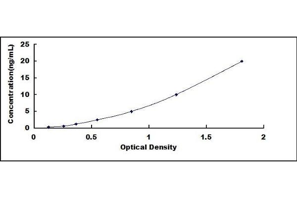 CYP1A1 ELISA Kit
