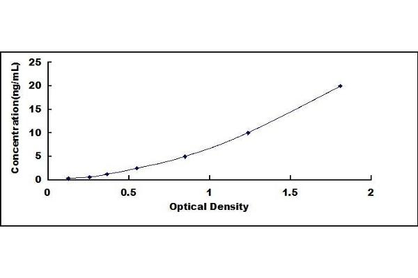 CYP1A1 ELISA Kit