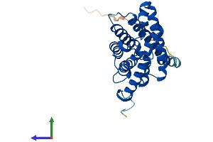 AlphaFold protein structure predicition of Mouse Recombinant Aqp8 Protein, UniprotID P56404