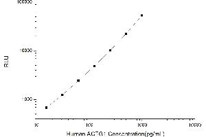 Typical standard curve (Actin, gamma 1 CLIA Kit)