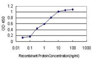 Detection limit for recombinant GST tagged PCDH1 is approximately 0. (Protocadherin 1 antibody  (AA 62-169))