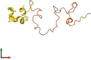 AlphaFold protein structure predicition of Human Recombinant KRTAP17-1 Protein, UniprotID Q9BYP8
