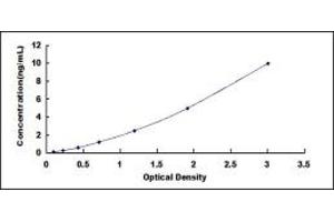 Typical standard curve (RACGAP1 ELISA Kit)