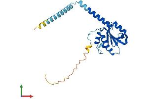 AlphaFold protein structure predicition of Mouse Recombinant Txndc9 Protein, UniprotID Q9CQ79 (TXNDC9 Protein (AA 1-226) (His tag))