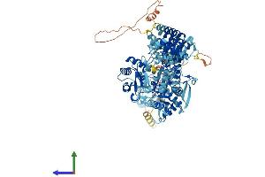 AlphaFold protein structure predicition of Mouse Recombinant Hace1 Protein, UniprotID Q3U0D9