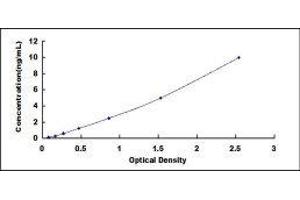 Synaptosomal-Associated Protein, 25kDa (SNAP25) ELISA Kit