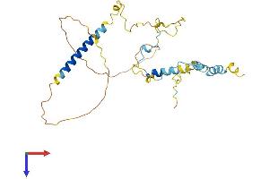 Mitochondrial Fission Regulator 1-Like (MTFR1L) (AA 1-289) protein (His tag)