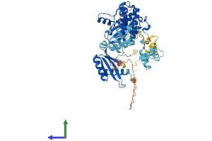 AlphaFold protein structure predicition of Mouse Recombinant Prkaa2 Protein, UniprotID Q8BRK8 (PRKAA2 Protein (AA 1-552) (His tag))
