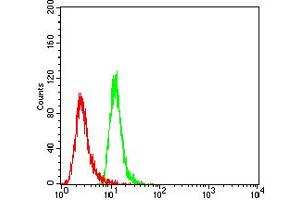 Flow cytometric analysis of Hela cells using TBC1D4 mouse mAb (green) and negative control (red). (TBC1D4 antibody  (AA 574-712))