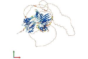 AlphaFold protein structure predicition of Mouse Recombinant Map1s Protein, UniprotID Q8C052
