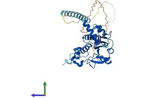 Protein Structure (PS) image for RNA (Guanine-9-) Methyltransferase Domain Containing 3 (RG9MTD3) (AA 1-316) protein (His tag) (ABIN7544511)