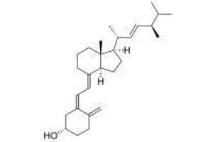 Image no. 1 for Vitamin D2 peptide (Ovalbumin) (ABIN5666412) (Vitamin D2 peptide (Ovalbumin))