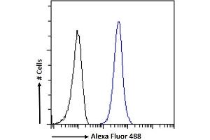 (ABIN7013882) Flow cytometric analysis of paraformaldehyde fixed K562 cells (blue line), permeabilized with 0. (TICAM1 antibody  (Internal Region))