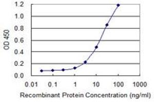 Detection limit for recombinant GST tagged ADAM2 is 1 ng/ml as a capture antibody. (ADAM2 antibody  (AA 376-475))