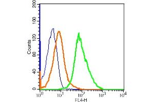 A549 cells probed with PTK9 Polyclonal Antibody, ALEXA FLUOR® 647 Conjugated (bs-4196R-A647) at 5ug for 30 minutes compared to control cells (blue) and isotype control (orange). (TWF1 antibody  (AA 351-422) (AbBy Fluor® 647))