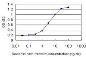 Detection limit for recombinant GST tagged ARNT is approximately 0. (ARNT antibody  (AA 1-110))