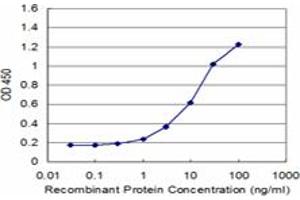 Detection limit for recombinant GST tagged PURA is approximately 1ng/ml as a capture antibody. (PURA antibody  (AA 183-292))
