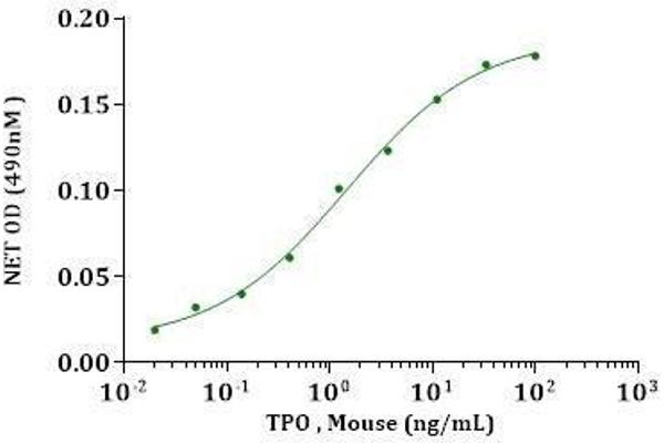 Thrombopoietin Protein (THPO) (AA 22-356)
