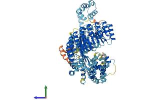 AlphaFold protein structure predicition of Mouse Recombinant Nlrp9a Protein, UniprotID Q66X03 (Nlrp9a Protein (AA 1-949) (His tag))