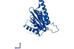 AlphaFold protein structure predicition of Human Recombinant PSMA6 Protein, UniprotID P60900 (PSMA6 Protein (AA 1-246) (His tag))