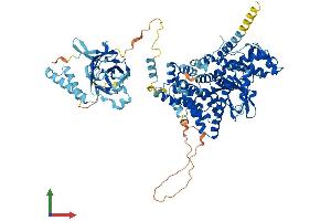 Protein Structure (PS) image for Phosphoinositide-3-Kinase, Class 3 (PIK3C3) (AA 1-887) protein (His tag) (ABIN7564122)