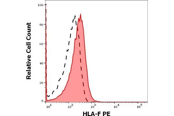 HLA-F 抗体  (PE)