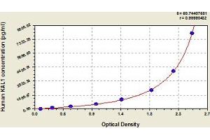 Typical Standard Curve (KAL1 ELISA Kit)