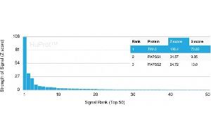 Analysis of Protein Array containing more than 19,000 full-length human proteins using TIM-3 Mouse Monoclonal Antibody (TIM3/3113) Z- and S- Score: The Z-score represents the strength of a signal that a monoclonal antibody (MAb) (in combination with a fluorescently-tagged anti-IgG secondary antibody) produces when binding to a particular protein on the HuProtTM array. (TIM3 antibody  (AA 22-202))