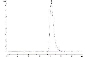 TMEM106B Protein (AA 119-275) (Fc Tag)