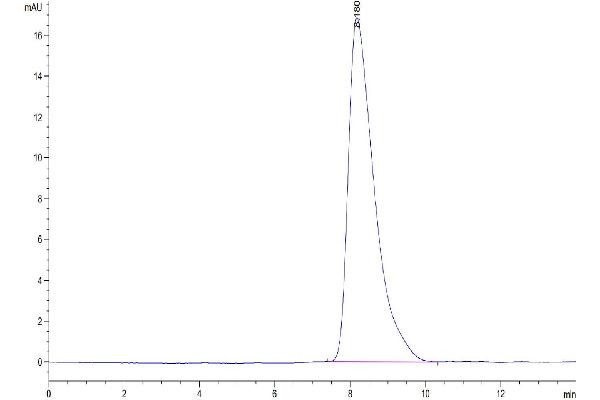 TMEM106B Protein (AA 119-275) (Fc Tag)