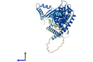 AlphaFold protein structure predicition of Human Recombinant MBTPS2 Protein, UniprotID O43462