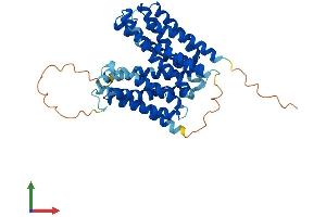 AlphaFold protein structure predicition of Mouse Recombinant Mfsd4b1 Protein, UniprotID Q8VCV9 (Mfsd4b1/Naglt1a Protein (AA 1-425) (His tag))