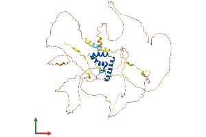AlphaFold protein structure predicition of Mouse Recombinant Tcf7l1 Protein, UniprotID Q9Z1J1 (TCF7L1 Protein (AA 1-584) (His tag))