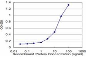 Detection limit for recombinant GST tagged CSNK2A2 is approximately 0. (CSNK2A2 antibody  (AA 1-100))