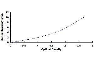 Typical standard curve (Arylsulfatase B ELISA Kit)