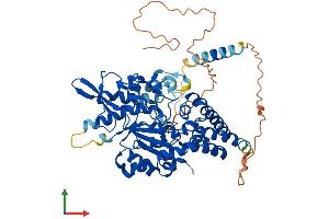 Protein Structure (PS) image for Carbohydrate (N-Acetylgalactosamine 4-Sulfate 6-O) Sulfotransferase 15 (CHST15) (AA 1-561) protein (His tag) (ABIN7564814)