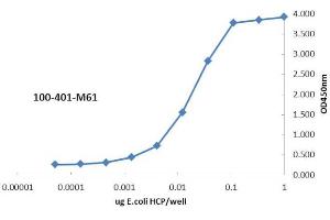 ELISA of Rabbit anti-Host Cell Protein antibody. (HCP antibody  (HMW, LMW))